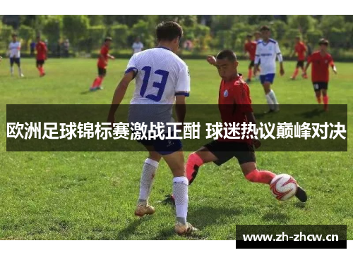 欧洲足球锦标赛激战正酣 球迷热议巅峰对决